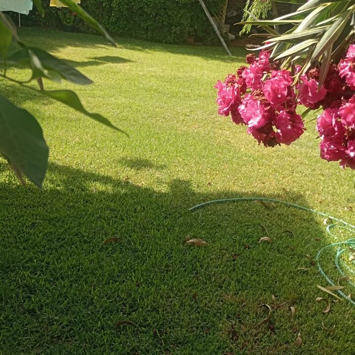 WhatsApp Image 2025-04-01 at 12.53.14