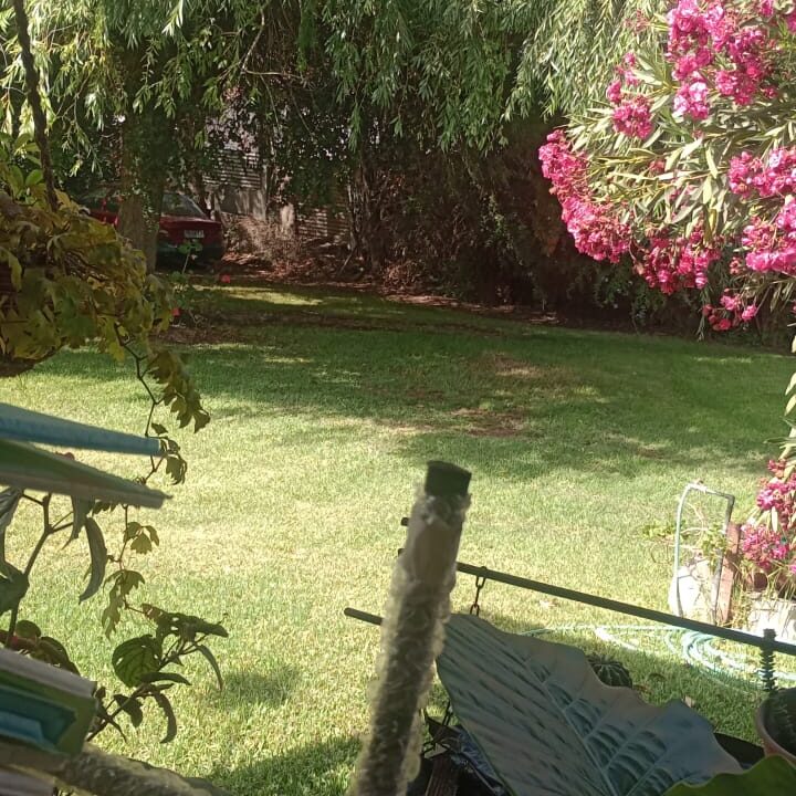 WhatsApp Image 2025-04-01 at 12.53.15 (1)