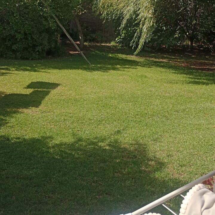 WhatsApp Image 2025-04-01 at 12.53.15 (2)