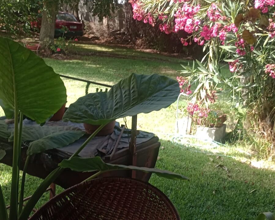 WhatsApp Image 2025-04-01 at 12.53.15